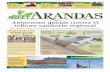 NOTI-ARANDAS -- Edición impresa - 1017