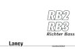 LANEY RB2 - RB3