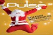 Pulse - November 26, 2010