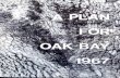 Plan for Oak Bay 1967