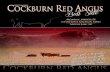 1st Annual Cockburn Red Angus Bull Sale