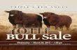 2013 Triple S Red Angus 40th Annual Bull Sale