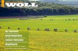 WOLL Magazin Sundern – Mai 2012