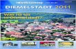 Terminkalender Diemelstadt 2011