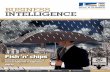 Business Intelligence 5