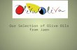 Olive oils from jean