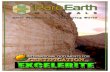 US Rare Earth Minerals - Excelerite Restoration Mineral Certification