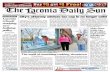 The Laconia Daily Sun, November 17, 2010
