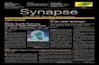 Synapse (03.14.13)