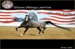 Desert Mirage Arabian Horse VM