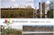 Infogids Rotselaar 2012-2013