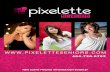 Pixelette Seniors Pricing Guide 2011
