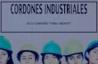 Dossier Cordones Industriales