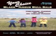 Your Choice Black Angus Bull Sale 2013