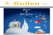 Bullen - 31v50
