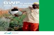 GWP Annual Report 2008