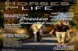 Free Preview Horses For LIFE Vol 49 Just Say YES!