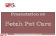 Fetch Pet Care- Offers Full Range of Pet Care Services