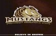 Mustang Athletics Viewbook 2013
