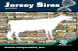 April 2009 Jersey Sires