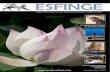 Revista Esfinge 2012-11