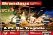 3/2010 Brandaus - die Zeitschrift der niederösterreichischen Feuerwehren