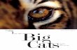 Big Cats Naked Planet magazine