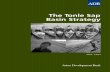 The Tonle Sap Basin Strategy