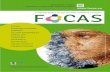 FoCAS Newsletter Issue One - Autumn 2013
