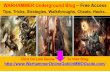 Warhammer Online Goblin MMO Guide - Tips, Tricks, Strategies, Walkthroughs, Cheats, Hacks..