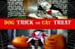 Dog Trick or Cat Treat Pets Dress Up for Halloween