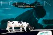 Catalogue Sersia Holstein TPI Mayo 2013