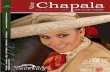 Vive Chapala en linea