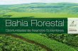 Bahia Florestal Oportunidades de Negócios Sustentáveis