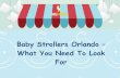 Orlando Strollers - What to Look For