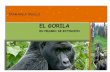 El Gorila en extinción