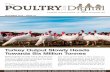 The PoultrySite Digital - December 2012 - Issue 23