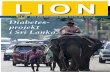 LION tidning nr 4/2012-2013