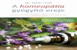 Dr. Ébert Jenő: A homeopátia gyógyító ereje + ajándék poszter