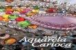 Revista Ateliê Aquarela Carioca