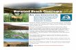Burwood Beach Coastcare Flyer