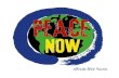 Peace Now — Alfredo Sfeir Younis