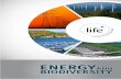 Energy and Biodiversity - LIFE Institute