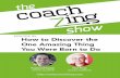E020: Steve Olsher – How to Discover the One Amazing Thing You Were Born to Do