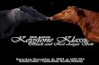 26th Annual Keystone Klassic Black & Red Angus Sale