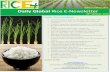 29th october 2014 daily global rice enewsletter by riceplus magazine