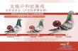 Crehan and O'Connor Catalogue Chinese version