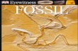 Eyewitness Fossil - Dr. Paul D. Taylor
