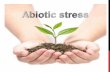 Abiotic stress eng