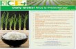 7th november 2014 daily global rice enewsletter by riceplus magazine